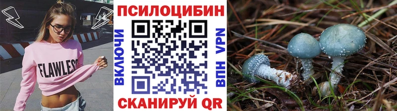 Псилоцибиновые грибы Psilocybe  цена наркотик  Сурск 
