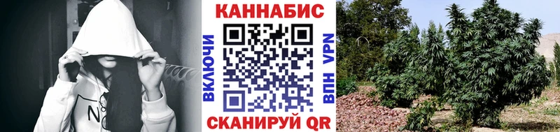 Каннабис конопля  купить наркотики сайты  Сурск 